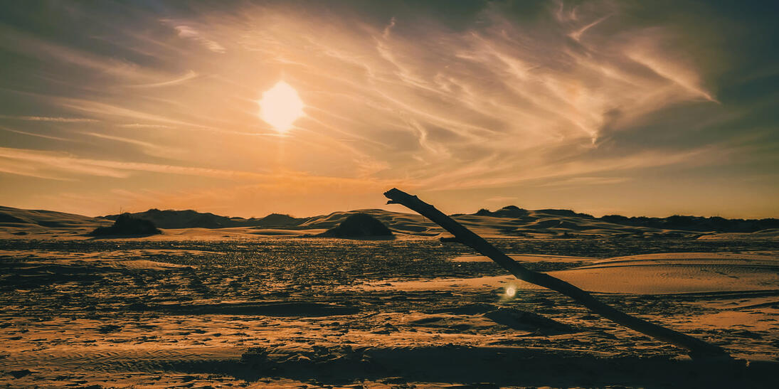SP2603 SP_26_03