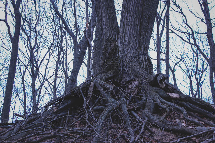 WM2502 WM_25_02