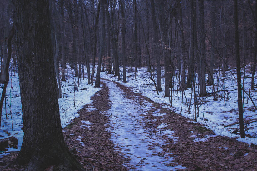 WM2506 WM_25_06