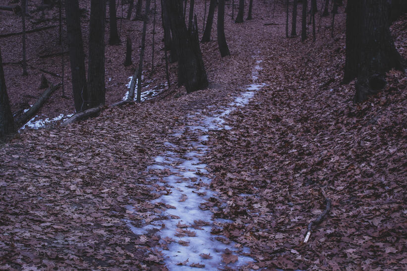 WM2504 WM_25_04